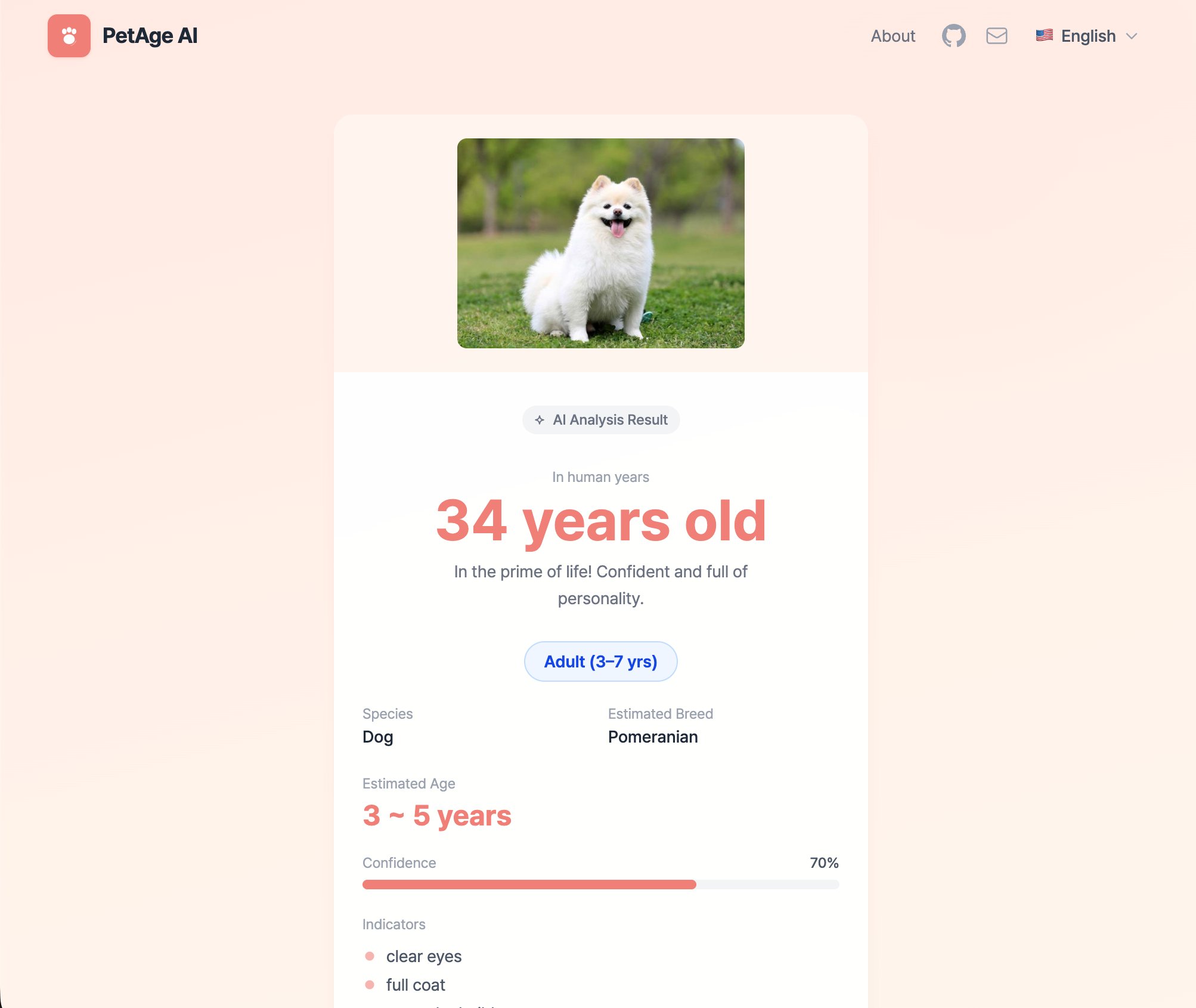PetAge AI landing page with photo upload