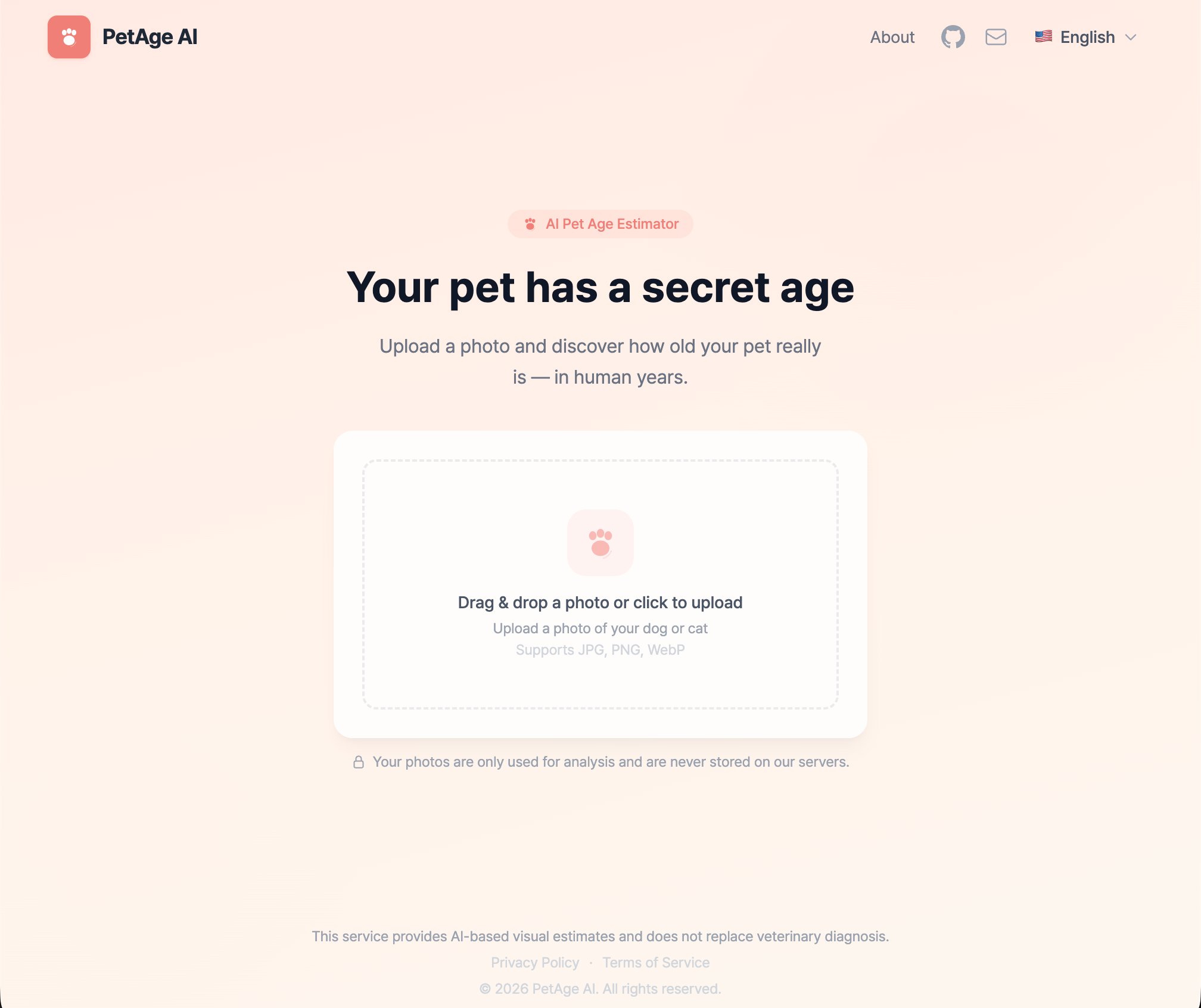 PetAge AI onboarding modal explaining the service